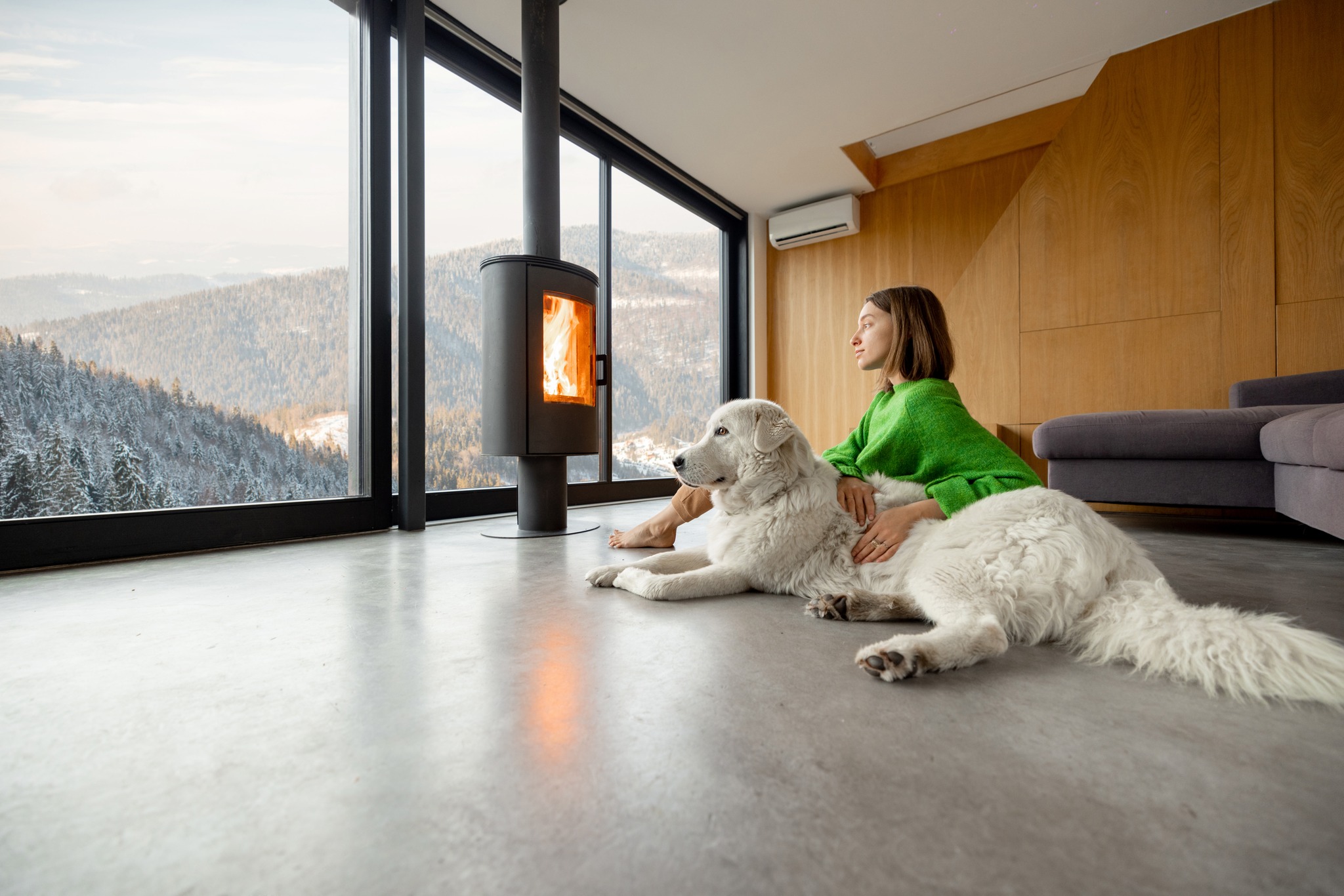 Paws and Comfort: How HVAC Systems Enhance the Well-Being of Pets and Their Owners