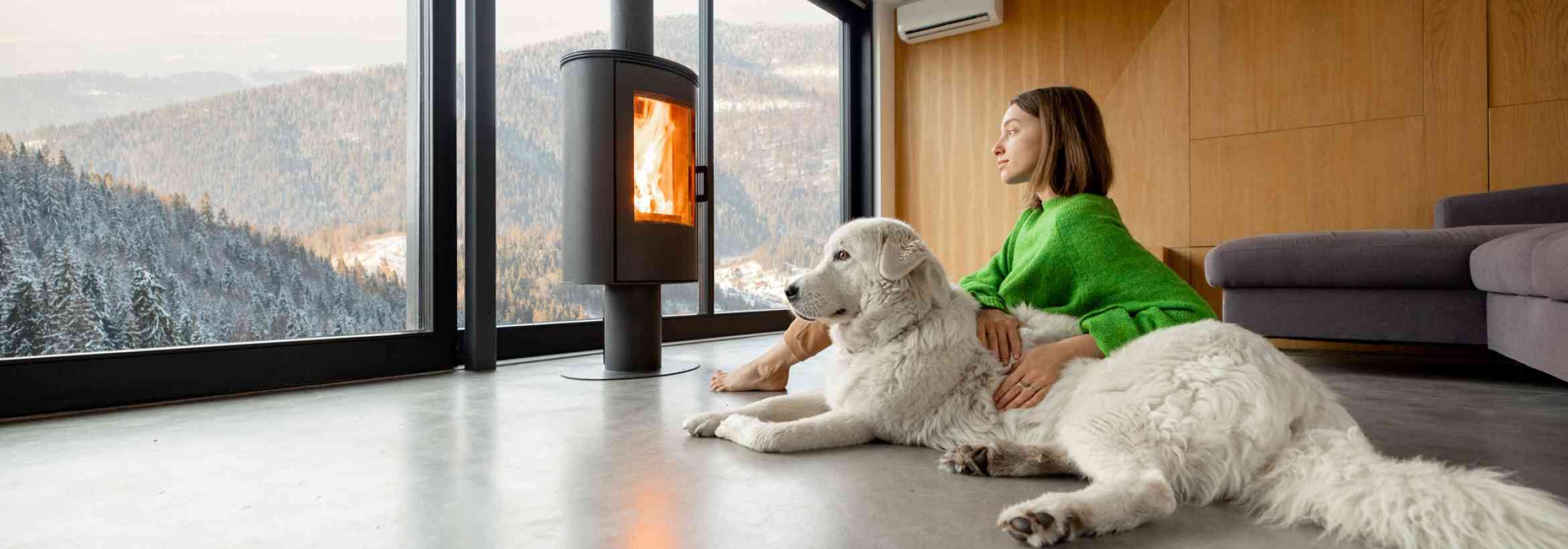 Paws and Comfort: How HVAC Systems Enhance the Well-Being of Pets and Their Owners